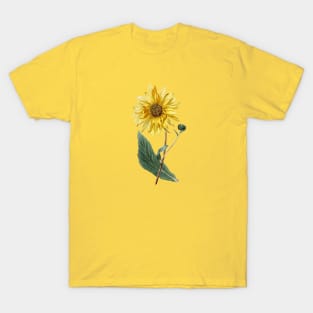 hand drawn watercolor sunflower illustration T-Shirt